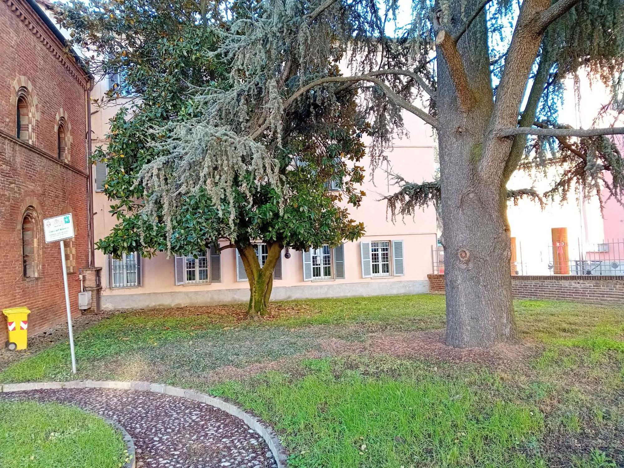 Petite Maison Asti Luaran gambar